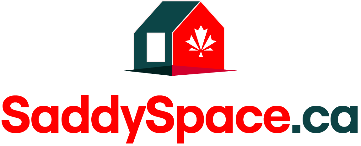 Saddy Space